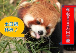 会計・経理コンサルタント 栃木県足利市 【10886】 イメージ