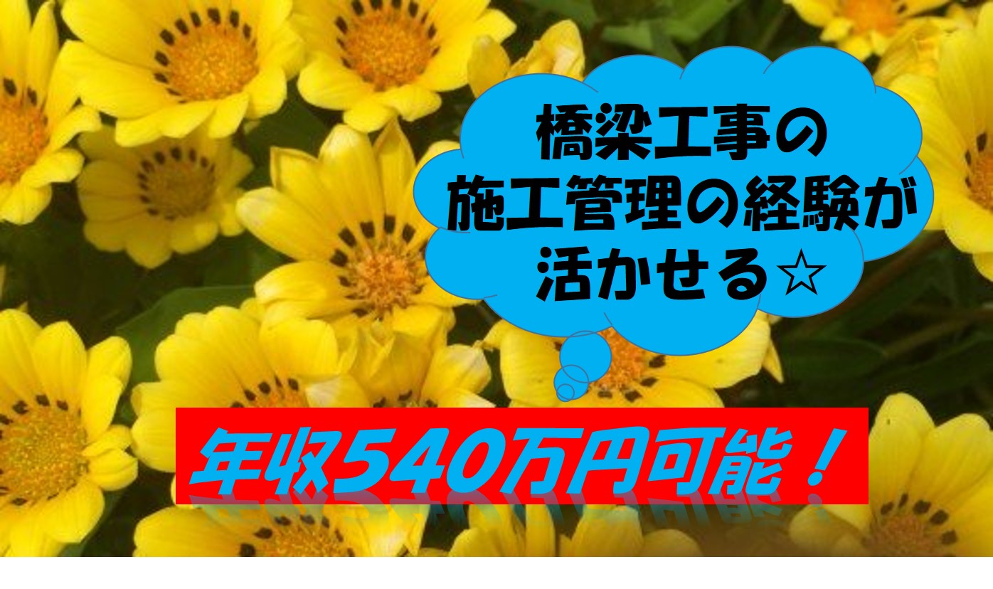 橋梁工事の施工管理
群馬県前橋市または北関東の営業所【11146】 イメージ