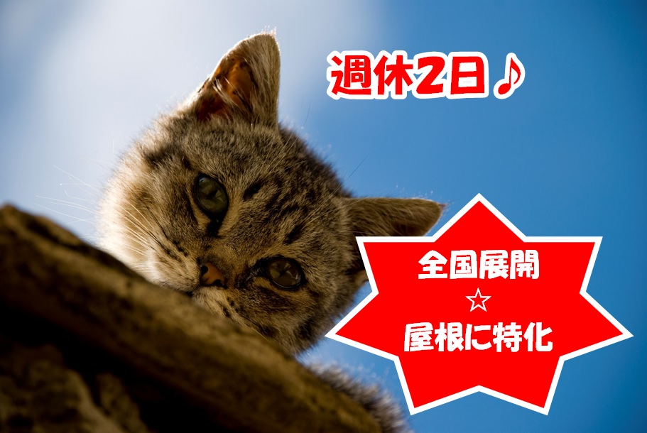 屋根に特化した建築社の施工管理/土日休み、全国展開 栃木県宇都宮市(将来的に、状況に応じて各営業所への転勤の可能性あり)転勤先:栃木、茨城、福島、東京、岡山、愛知【11829】 イメージ